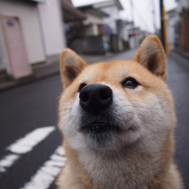 中超球队年度换人时间节点与比分变化趋势，中超几个换人