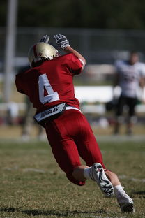 kaiyun网址-中超球队年度替补球员战术执行效率统计，中超替补年薪