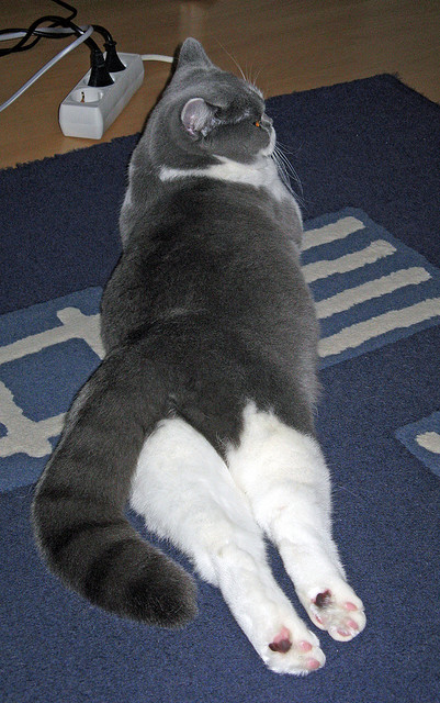 中超球队年度比赛走势变化曲线图，中超球队数据