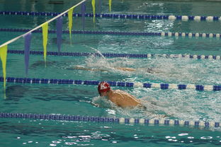 开云体育官网登入-全国青少年游泳锦标赛青春风采尽展，全国青少年游泳比赛成绩