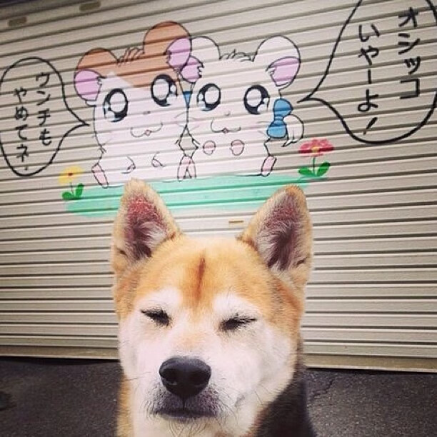 后程配速提升成胜负分水岭,后程加速怎么练