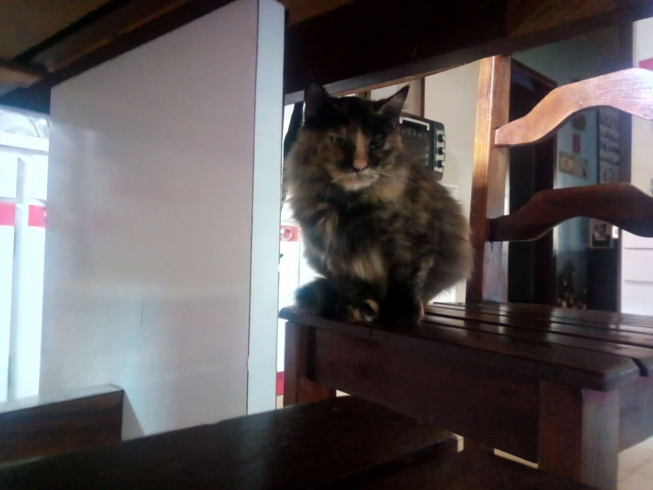 后程配速提升成胜负分水岭,后程加速怎么练