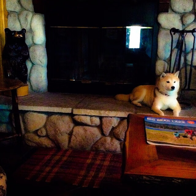 国际热身赛中国女足晋级 球迷看好未来发展，女足国足