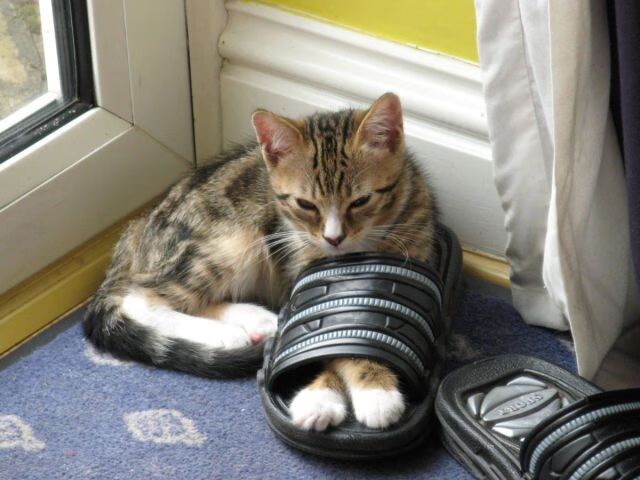 基层足球俱乐部资金短缺严重，基层足球俱乐部资金短缺严重怎么办