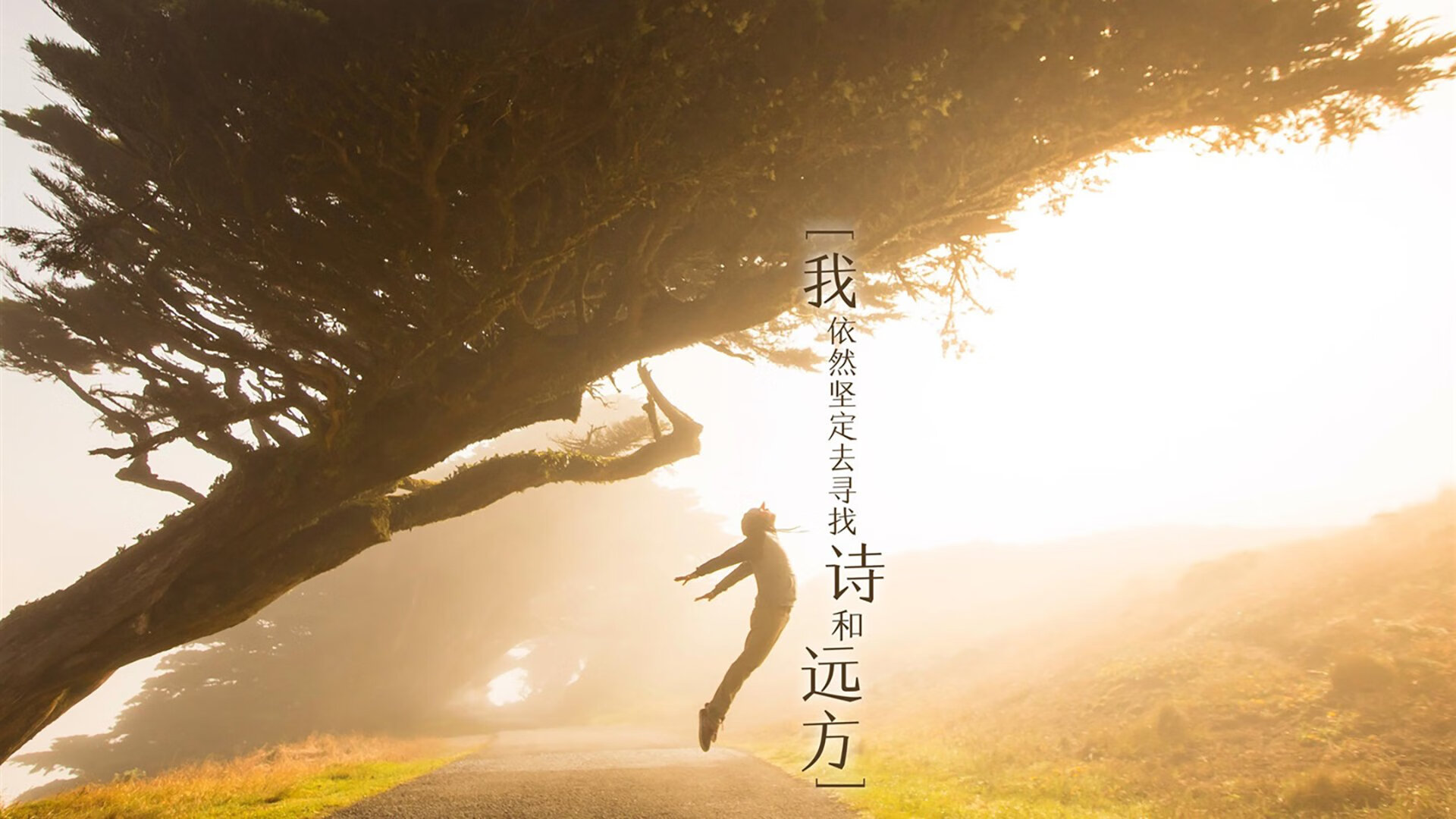 波兰队在国际乒联混合团体世界杯的出色表现分析,波兰国家队世界杯阵容