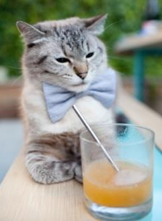 纽卡斯尔队员跑动积极提升覆盖范围,纽卡斯尔联队传奇球星