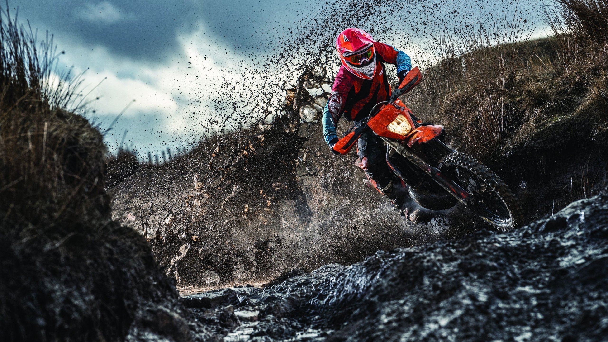 赛制解析:德国队如何在国际乒联混合团体世界杯中脱颖而出,德国乒乓球赛结果