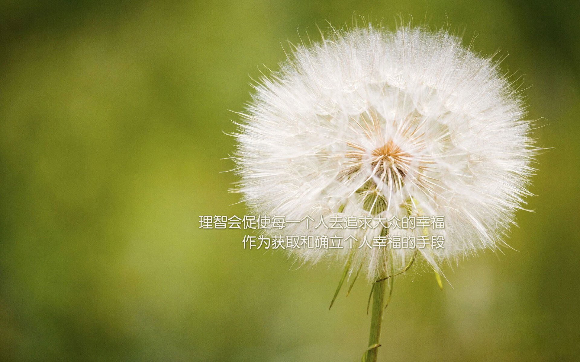 NBA季后赛火热进行 超级巨星表现抢眼,nba季后赛50大经典瞬间