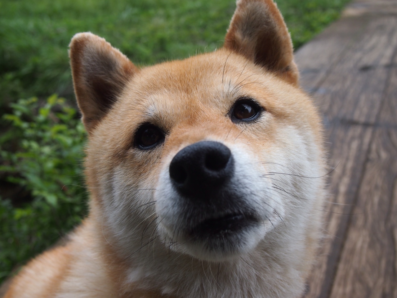 国家队试点沉浸式训练舱提升场景适应能力，什么是沉浸式训练