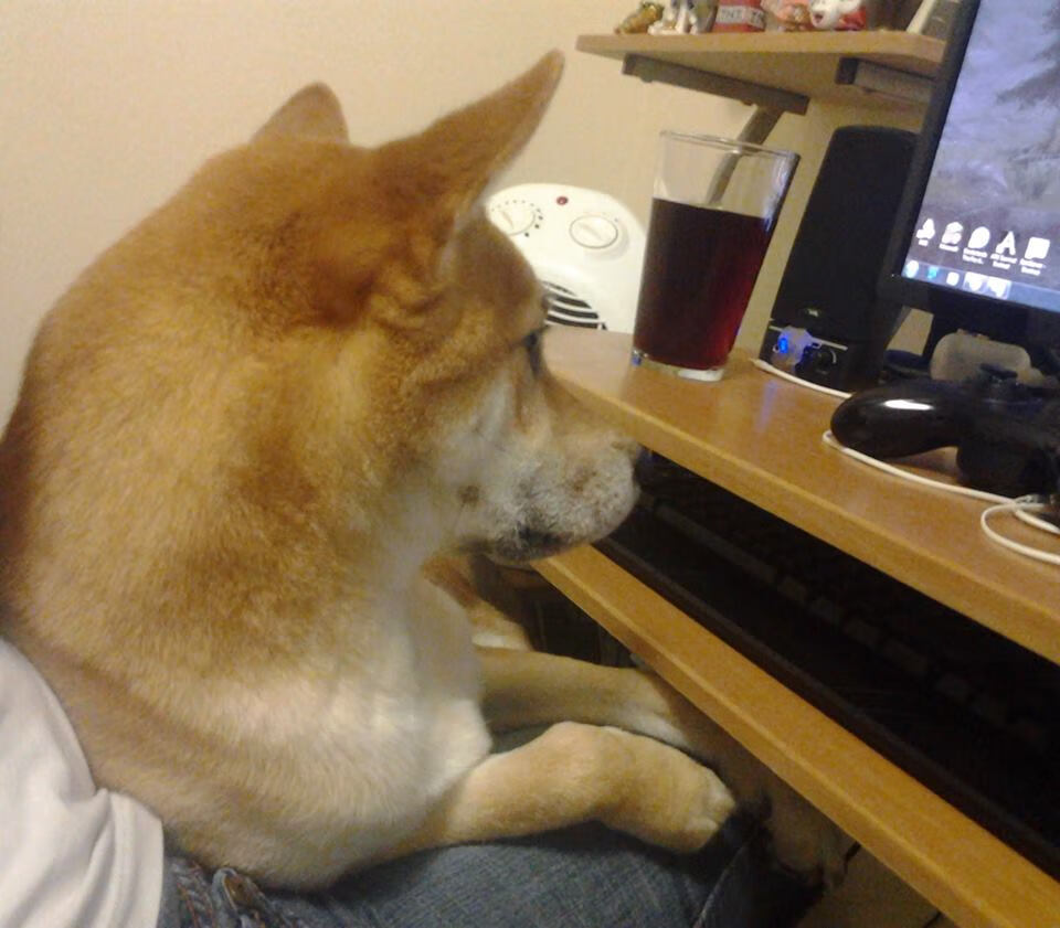 开云体育登录入口-比利时男篮在欧洲预赛中坚持到底，迎战奥运大门，比利时男篮厉害吗