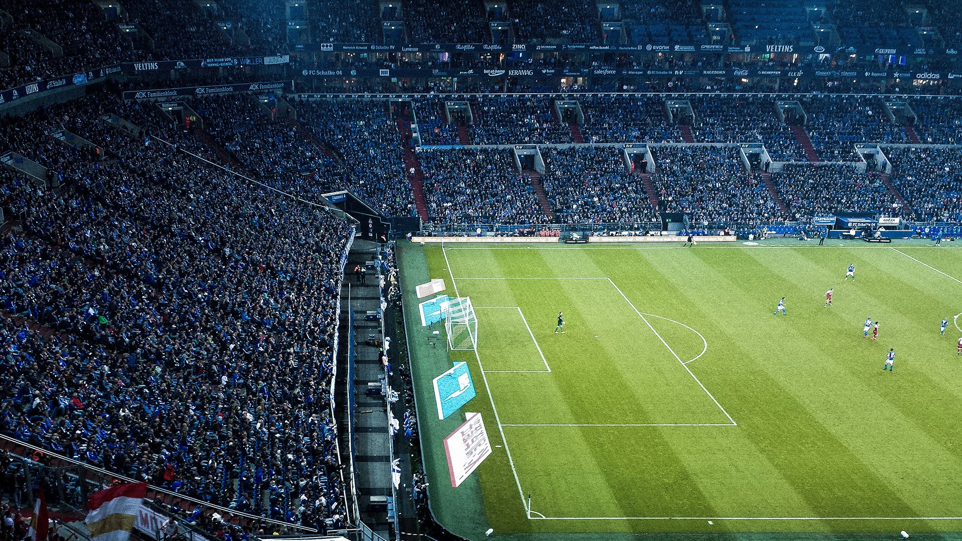 美洲杯星光璀璨：明星闪耀，全场狂欢！，美洲杯新人