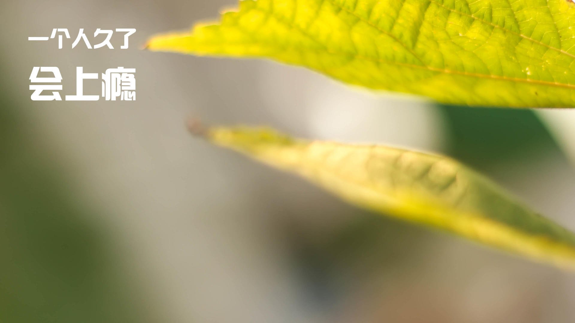 青训教练赴欧洲深造学习先进篮球理念促进中欧交流，欧洲篮球训练体系