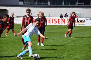 开云体育app入口-中国足球学生联赛对职业足球输送功能研究，中国足球联赛开始走向职业化